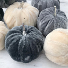 Load image into Gallery viewer, Bag of Velvet Pumpkins - Field &amp; Rose
