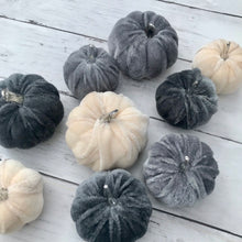 Load image into Gallery viewer, Bag of Velvet Pumpkins - Field &amp; Rose
