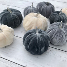 Load image into Gallery viewer, Bag of Velvet Pumpkins - Field &amp; Rose
