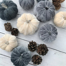 Load image into Gallery viewer, Bag of Velvet Pumpkins - Field &amp; Rose
