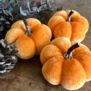 Velvet Pumpkins. Set of 3 velvet mini pumpkins. Field and Rose Ireland