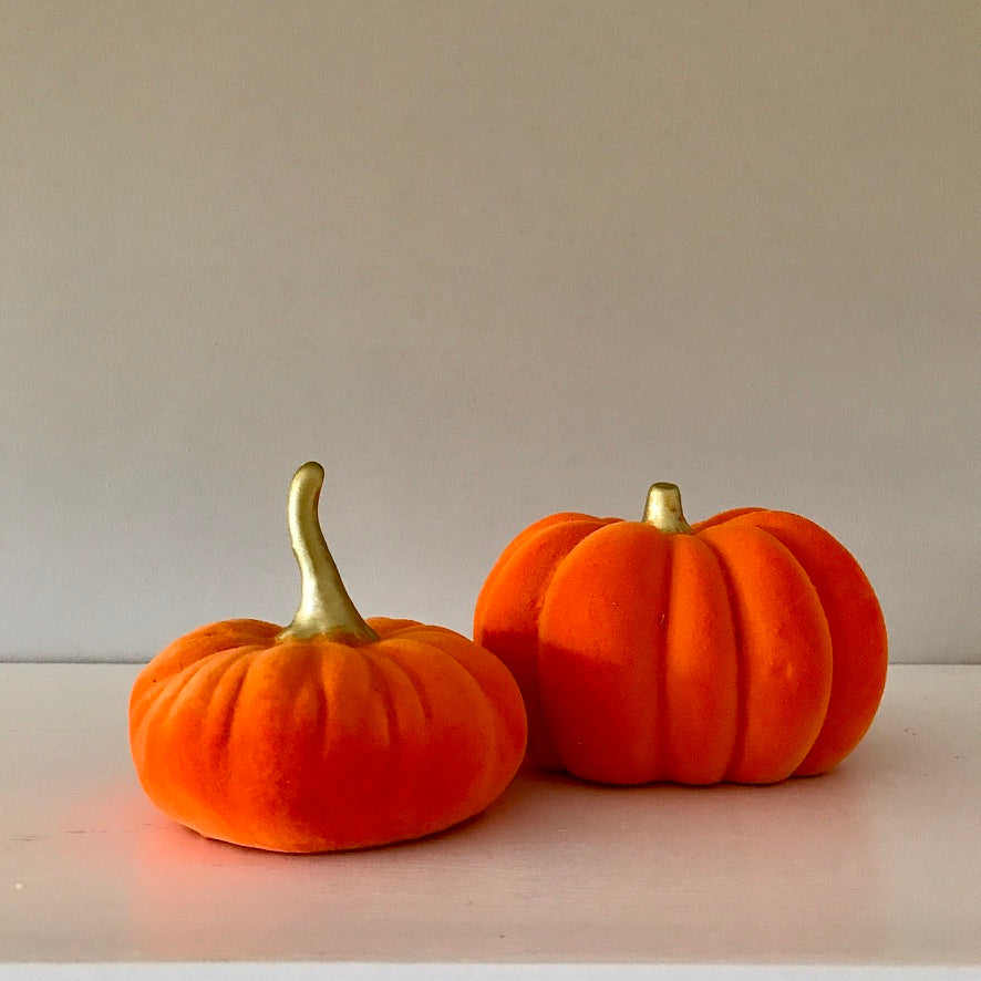 Set of 2 velvet Pumpkins - Field & Rose