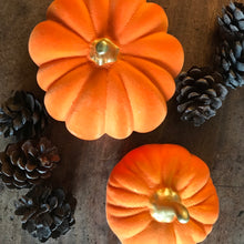 Load image into Gallery viewer, Set of 2 velvet Pumpkins - Field &amp; Rose
