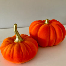 Load image into Gallery viewer, Set of 2 velvet Pumpkins - Field &amp; Rose
